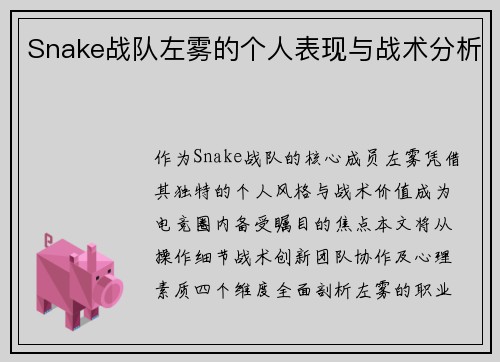 Snake战队左雾的个人表现与战术分析